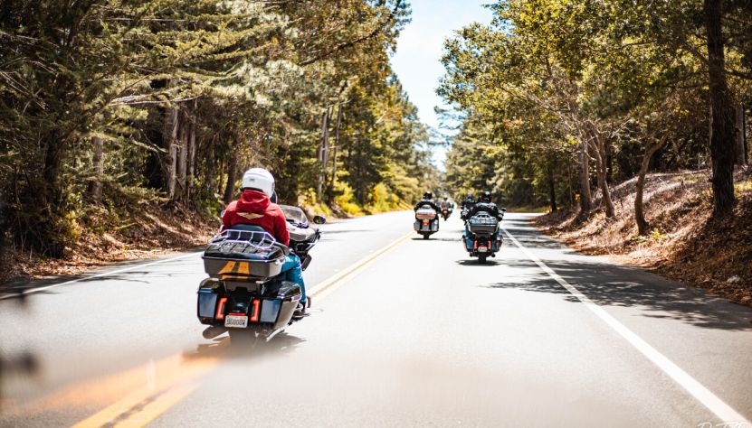 De Yellowstone aux grands parcs du nord