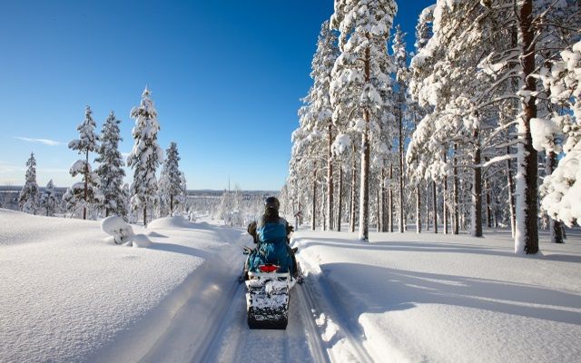 Noël féerique en terres polaires