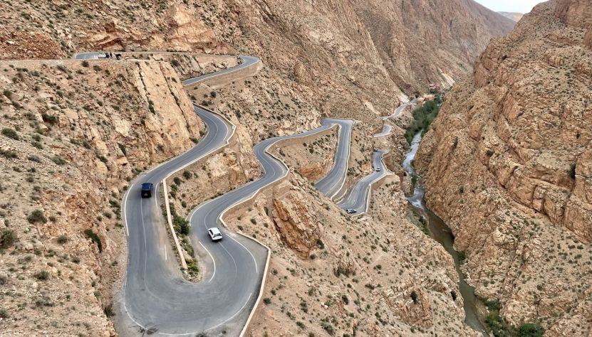 Boucle saharienne entre oasis et hauts plateaux