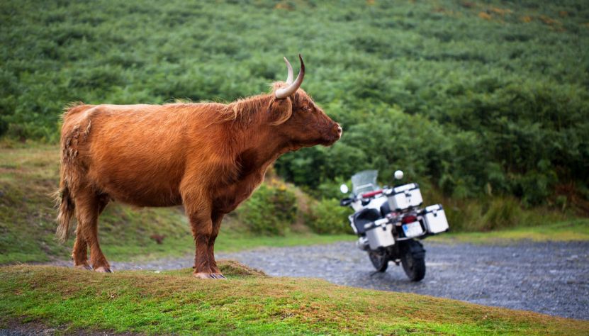 L’Écosse au fil des lochs
