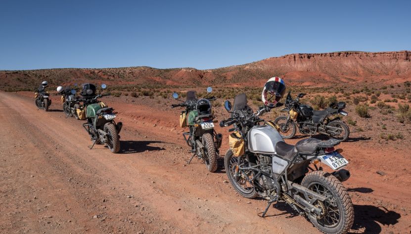 Sur les traces des condors andins