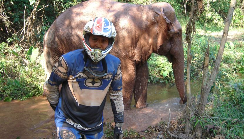 Sur la piste des éléphants au Sud Laos