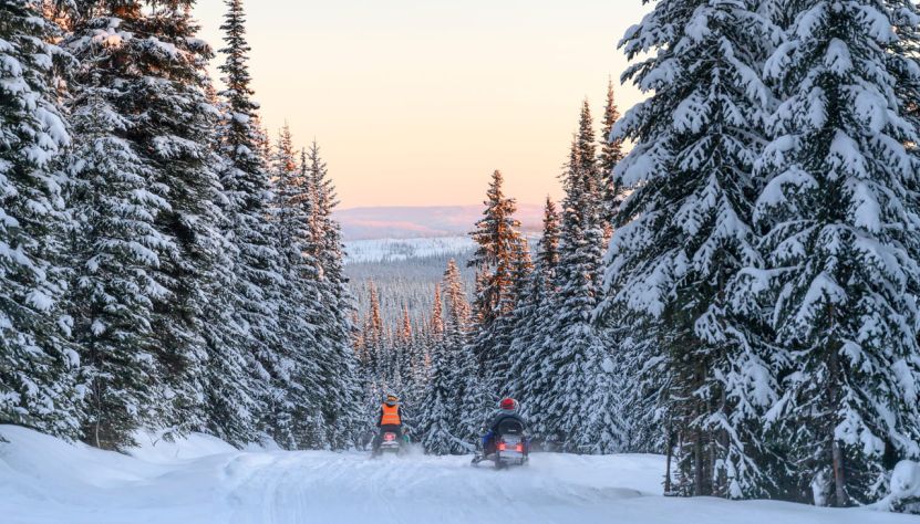 Entre fjord et forêts boréales du Québec