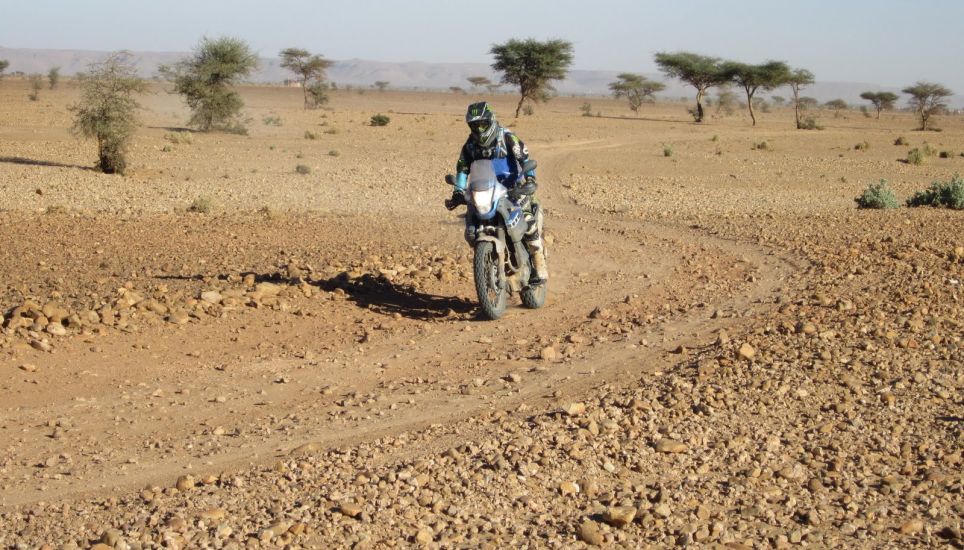 Du désert marocain aux sommets de l’Atlas