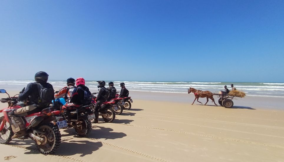 Savane, fleuve et plages du Sénégal