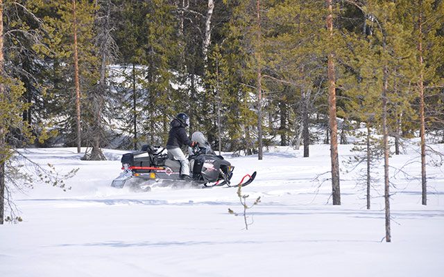 Sur les traces des contrebandiers du Nord