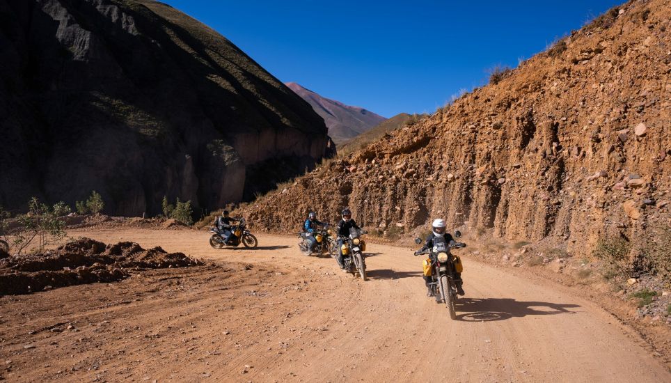 Sur les traces des condors andins