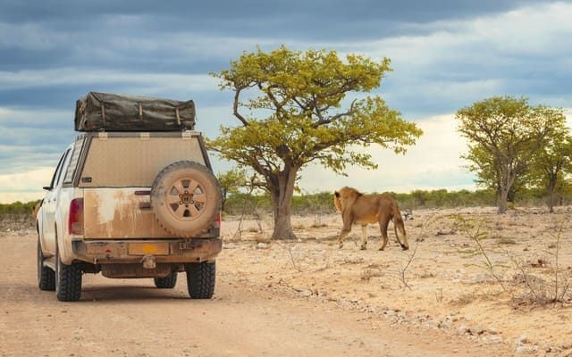 Trois pays entre safari et océan Indien