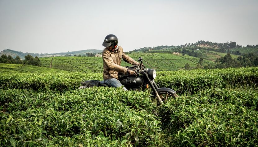 Du lac Kivu aux volcans des Virungas
