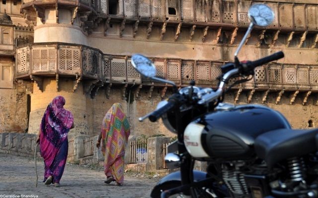 Sur les traces du tigre