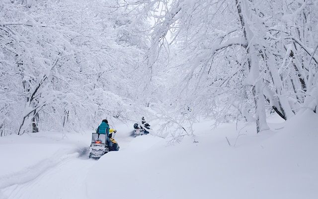 Jusqu’au Cap Nord en motoneige