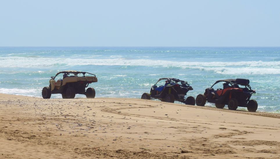 The endless dunes of the Atlantic coast