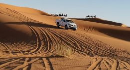 Expédition dans l’infini saharien