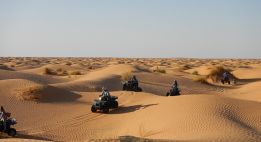 Au rythme des grands ergs tunisiens