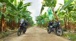 Entre volcans andins et jungle amazonienne