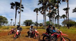 Savane, fleuve et plages du Sénégal