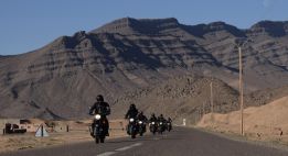 Boucle saharienne entre oasis et hauts plateaux