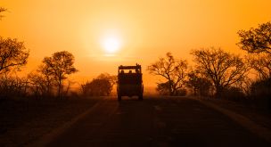 Eco-Responsible Adventure in Mozambique
