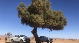 Immersion dans les dunes de Chegaga