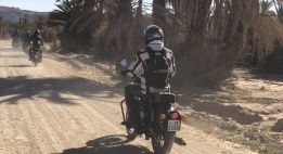 Boucle saharienne entre oasis et hauts plateaux