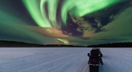 Noël féerique en terres polaires