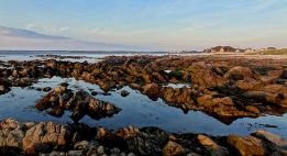 Des plaines Normandes aux côtes Bretonnes