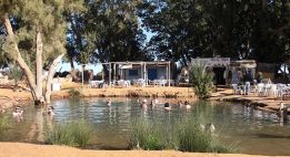 Au rythme des grands ergs tunisiens