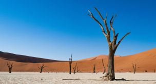 Du Cap au désert du Namib
