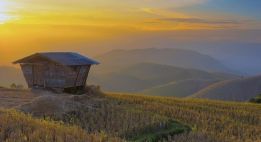 Explorez les pistes sacrée du royaume de Lanna