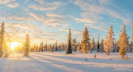 Au-delà des frontières du Grand Nord