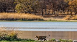 Les merveilles architecturales de l'Inde