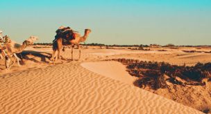 Au rythme des grands ergs tunisiens