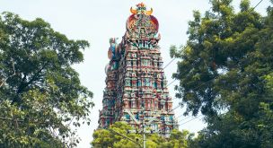 Des plantations du Kerala aux temples tamouls