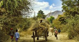 Madagascar, l’île aux pistes rouges
