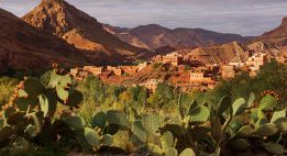 Du désert marocain aux sommets de l’Atlas