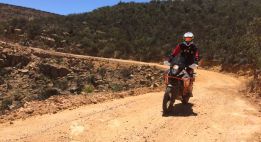 Sur les pistes sauvages d’Afrique du Sud