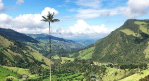 Entre volcans andins et terres de café