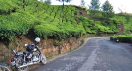 Temples tamouls et jungle du Tamil Nadu