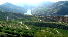 Entre océan et villages du Portugal