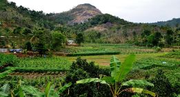 Sur la route des épices