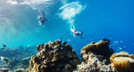 Aventure éco-responsable au Mozambique