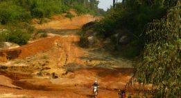 Sur la piste des éléphants au Sud Laos