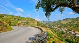 De la Costa Vicentina aux rives du Douro