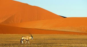 Du Cap au désert du Namib