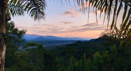 Entre volcans andins et jungle amazonienne