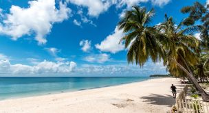 Eco-Responsible Adventure in Mozambique