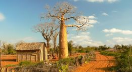 Madagascar, l’île aux pistes rouges