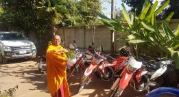 Sur la piste des éléphants au Sud Laos