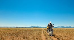 Expédition dans le Damaraland sauvage