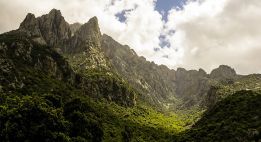 La Corse au rythme des virages